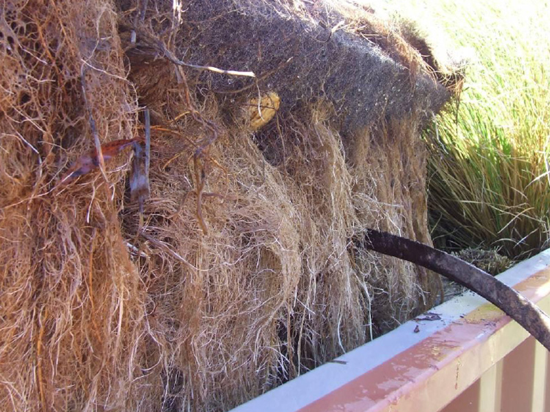 百奧源&reg;浮動(dòng)濕地根系發(fā)達(dá)，密度大大高于人工濕地